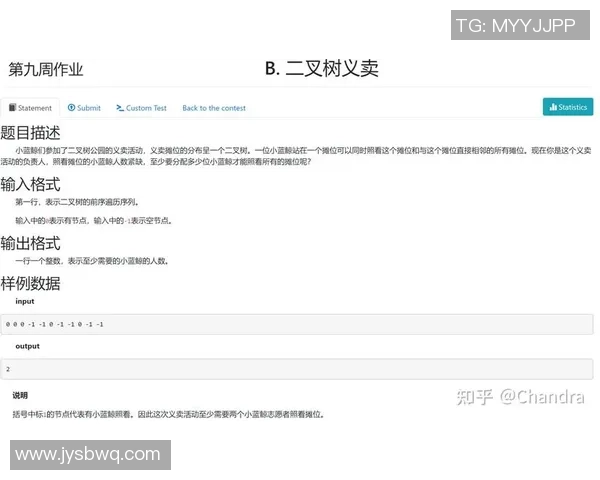 杭州排球队在精英赛中的团队协作表现分析与点评