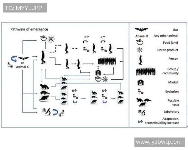 武汉乒乓球队的崛起之路：从默默无闻到全国冠军的成长历程