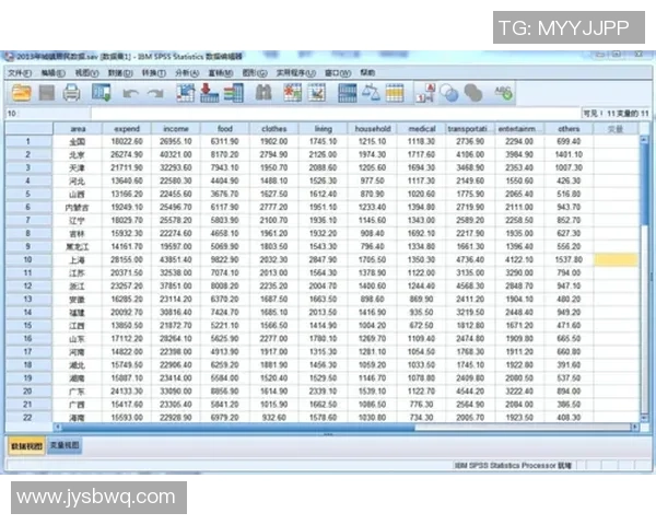 数据分析：成都排球队的个人能力表现